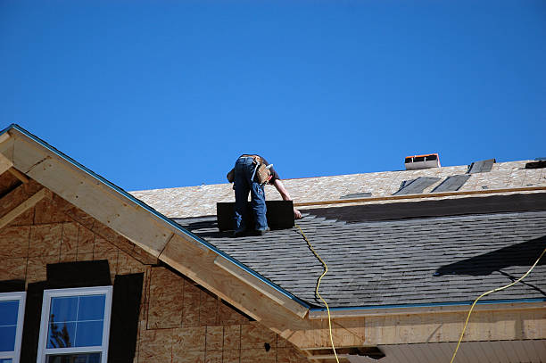 Roof Moss and Algae Removal in Palmerton, PA